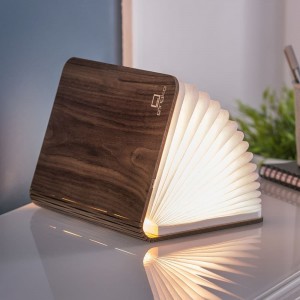 Livre lumineux